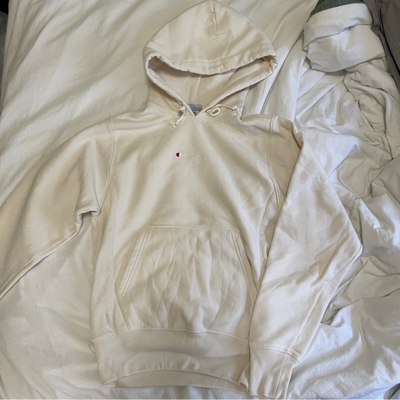 Champion UO Exclusive Reverse Weave Boyfriend Hoodie Sweatshirt - Picture 2 of 3